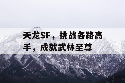 天龙SF，挑战各路高手，成就武林至尊