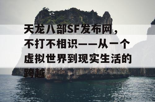 天龙八部SF发布网，不打不相识——从一个虚拟世界到现实生活的跨越