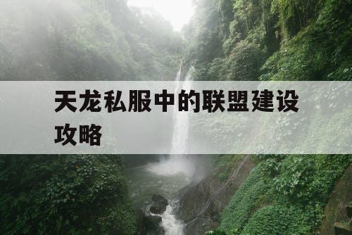 天龙私服中的联盟建设攻略