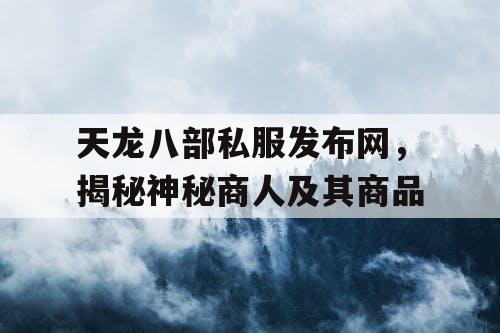 天龙八部私服发布网，揭秘神秘商人及其商品