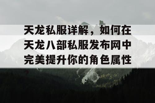 天龙私服详解，如何在天龙八部私服发布网中完美提升你的角色属性？