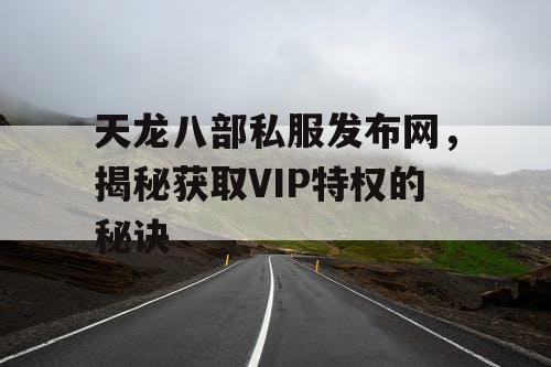 天龙八部私服发布网，揭秘获取VIP特权的秘诀