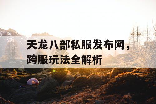 天龙八部私服发布网，跨服玩法全解析