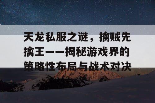 天龙私服之谜，擒贼先擒王——揭秘游戏界的策略性布局与战术对决