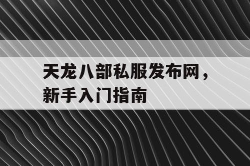 天龙八部私家版发布网，新手入门指南