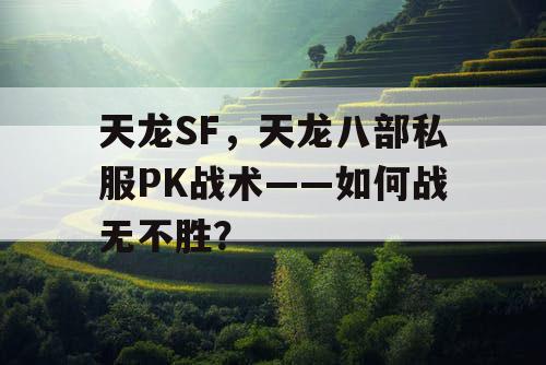 天龙SF，天龙八部私服PK战术——如何战无不胜？