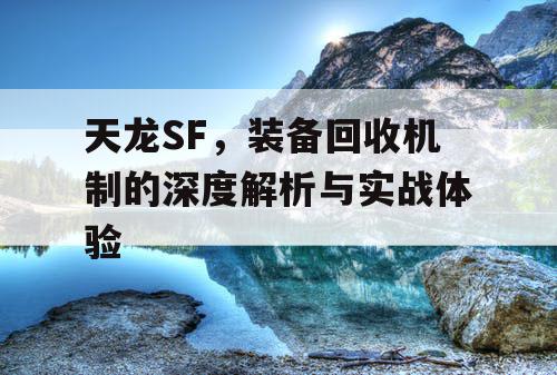 天龙SF，装备回收机制的深度解析与实战体验