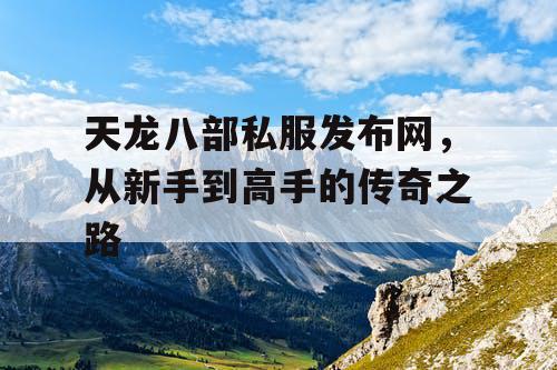 天龙八部私服发布网——从新手到高手的传奇之路