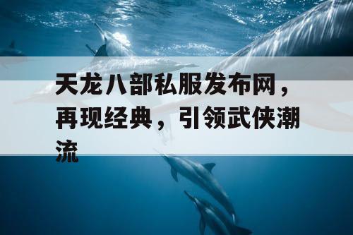 天龙八部私服发布网，再现经典，引领武侠潮流