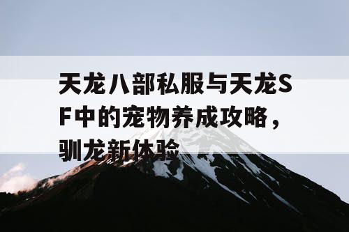 天龙八部私服与天龙SF中的宠物养成攻略，驯龙新体验