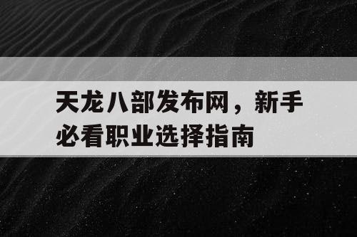 天龙八部发布网，新手必看职业选择指南