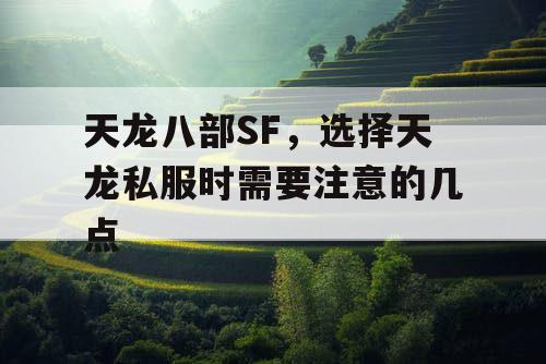 天龙八部SF，选择天龙私服时需要注意的几点