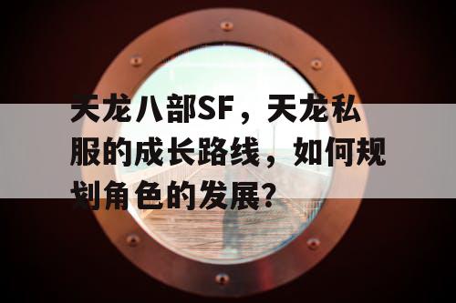 天龙八部SF，天龙私服的成长路线，如何规划角色的发展？