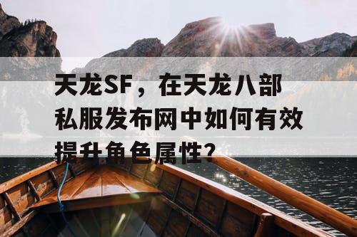 天龙SF，在天龙八部私服发布网中如何有效提升角色属性？