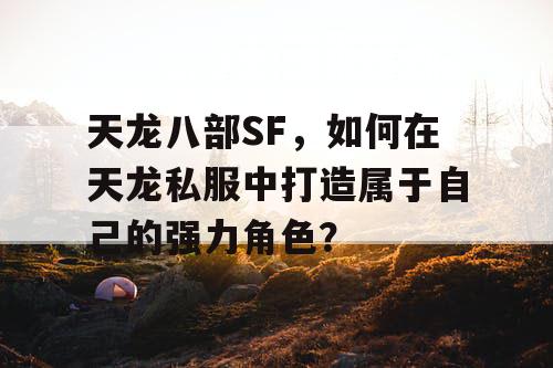 天龙八部SF，如何在天龙私服中打造属于自己的强力角色？