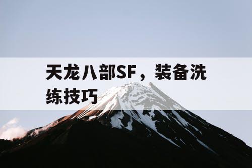 天龙八部SF，装备洗练技巧