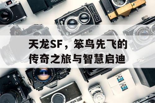 《天龙SF》与林轩的成长之路