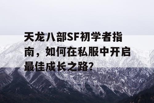 天龙八部SF初学者指南，如何在私服中开启最佳成长之路？