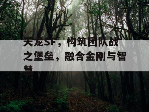 天龙SF，构筑团队战之堡垒，融合金刚与智慧