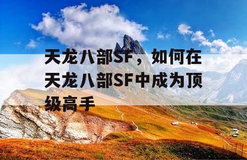 天龙八部SF，如何在天龙八部SF中成为顶级高手