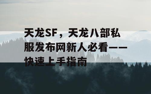 天龙SF，天龙八部私服发布网新人必看——快速上手指南