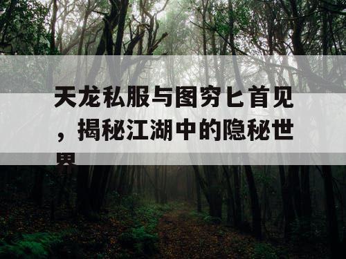 天龙私服与图穷匕首见，揭秘江湖中的隐秘世界