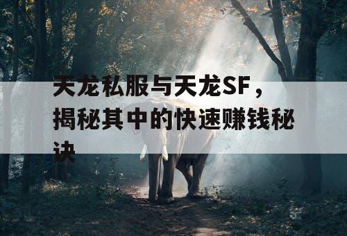 天龙私服与天龙SF，揭秘其中的快速赚钱秘诀