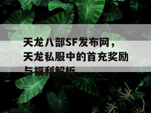 天龙八部SF发布网，天龙私服中的首充奖励与福利解析