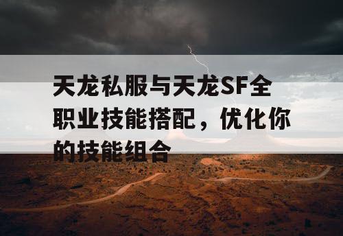 天龙私服与天龙SF全职业技能搭配，助你优化技能组合