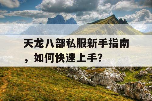 天龙八部私服新手指南，如何快速上手？